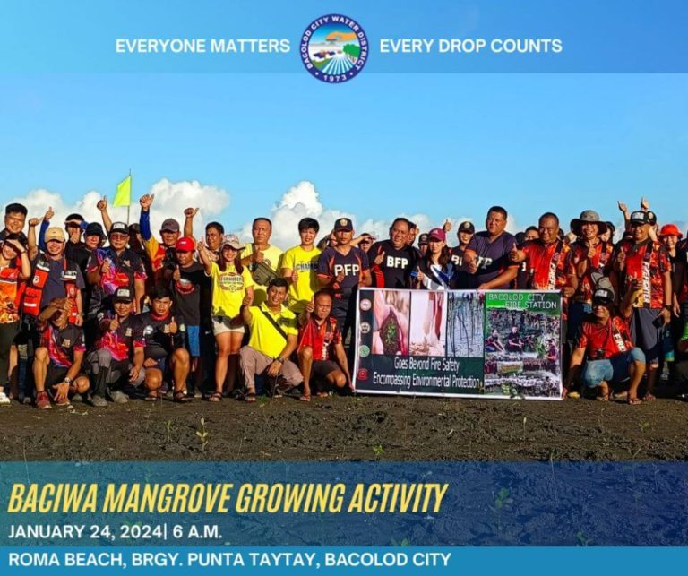 BACIWA Mangrove Growing Activity