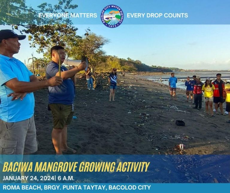 BACIWA Mangrove Growing Activity