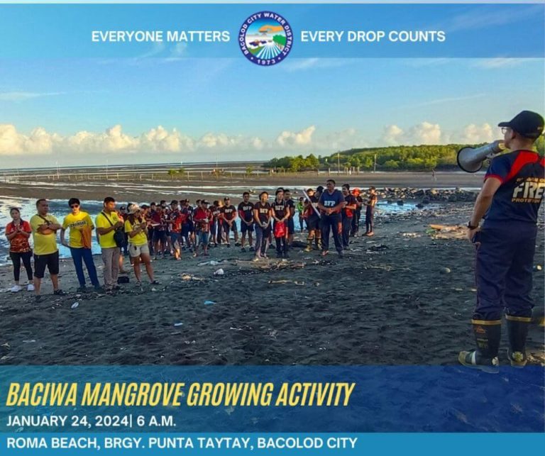 BACIWA Mangrove Growing Activity