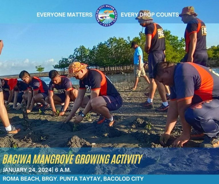 BACIWA Mangrove Growing Activity