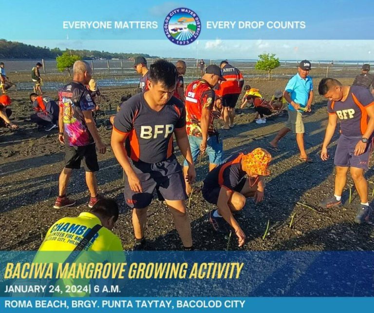 BACIWA Mangrove Growing Activity