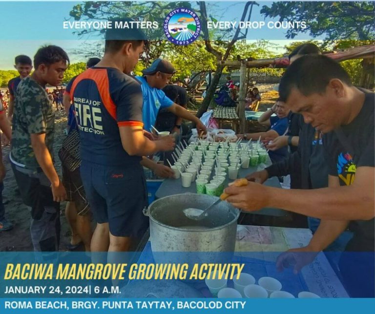 BACIWA Mangrove Growing Activity