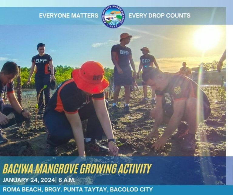 BACIWA Mangrove Growing Activity