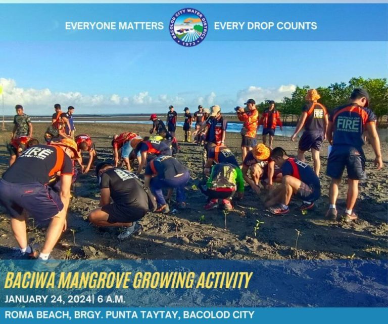 BACIWA Mangrove Growing Activity
