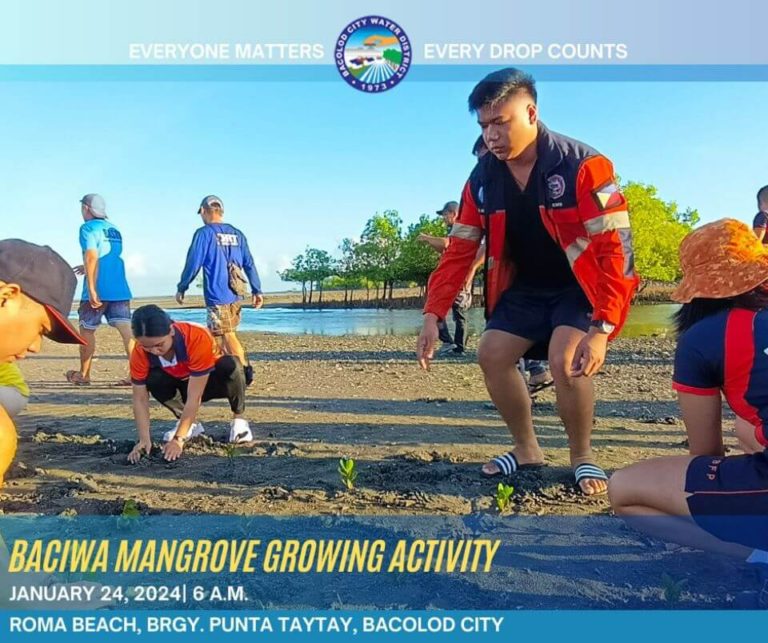 BACIWA Mangrove Growing Activity