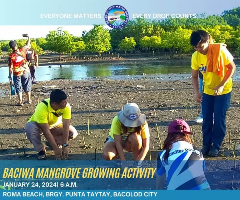 BACIWA Mangrove Growing Activity