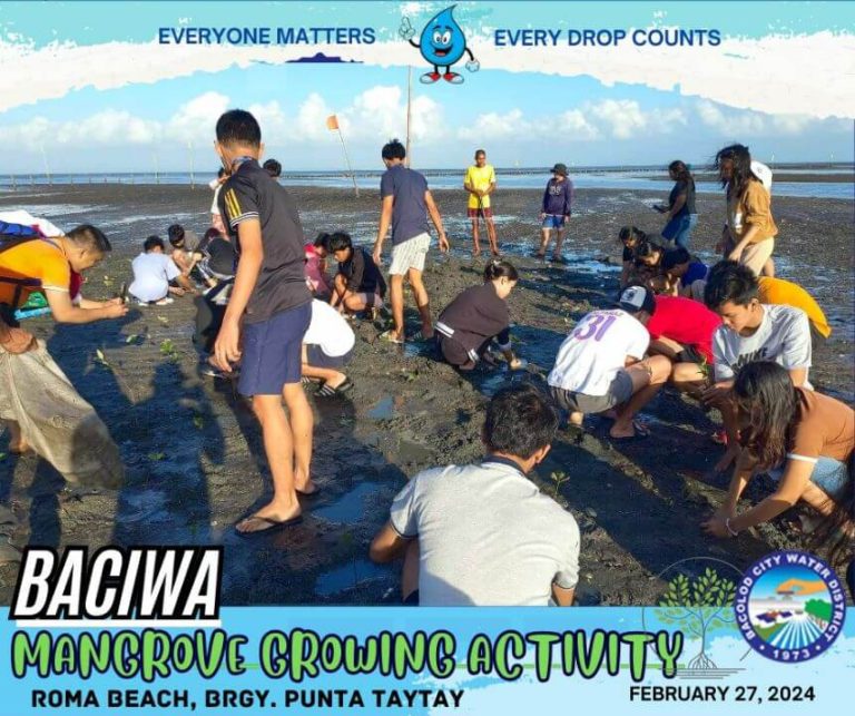 BACIWA MANGROVE GROWING ACTIVITY: Roma Beach, Brgy. Punta Taytay