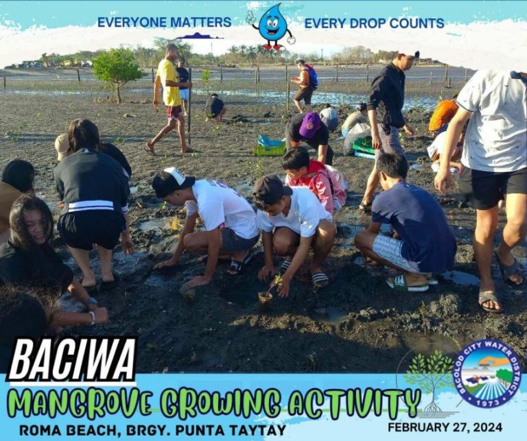 BACIWA MANGROVE GROWING ACTIVITY: Roma Beach, Brgy. Punta Taytay
