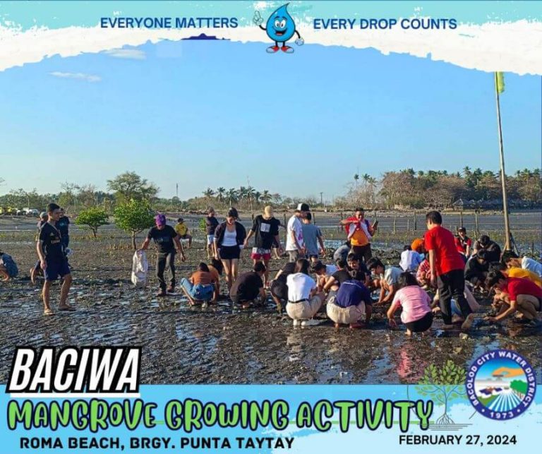 BACIWA MANGROVE GROWING ACTIVITY: Roma Beach, Brgy. Punta Taytay