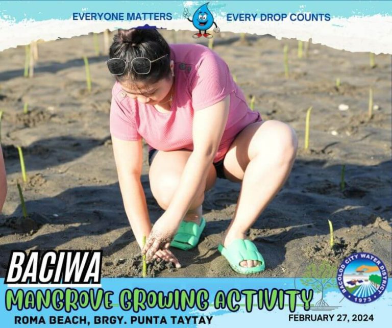 BACIWA MANGROVE GROWING ACTIVITY: Roma Beach, Brgy. Punta Taytay