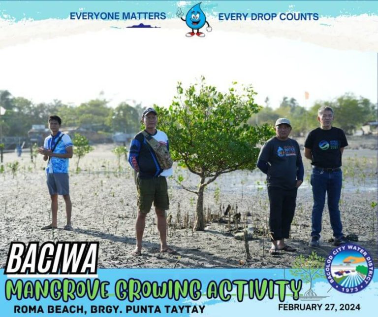 BACIWA MANGROVE GROWING ACTIVITY: Roma Beach, Brgy. Punta Taytay