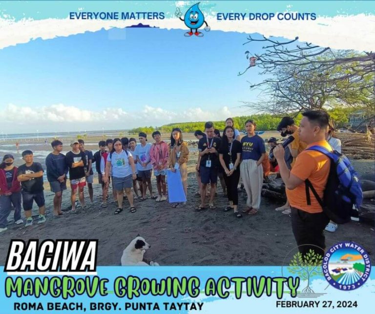 BACIWA MANGROVE GROWING ACTIVITY: Roma Beach, Brgy. Punta Taytay
