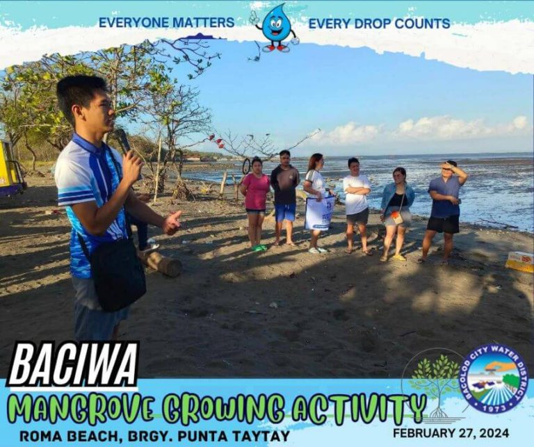BACIWA MANGROVE GROWING ACTIVITY: Roma Beach, Brgy. Punta Taytay