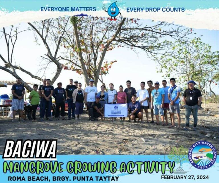 BACIWA MANGROVE GROWING ACTIVITY: Roma Beach, Brgy. Punta Taytay