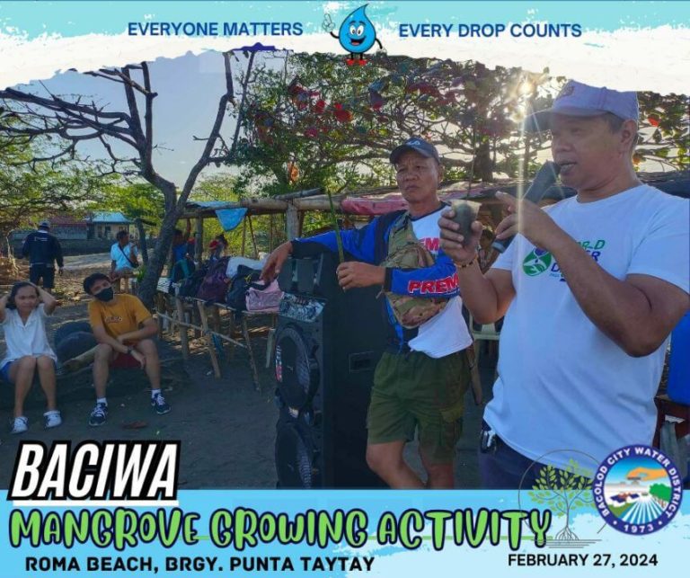 BACIWA MANGROVE GROWING ACTIVITY: Roma Beach, Brgy. Punta Taytay