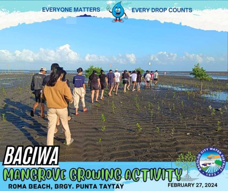 BACIWA MANGROVE GROWING ACTIVITY: Roma Beach, Brgy. Punta Taytay