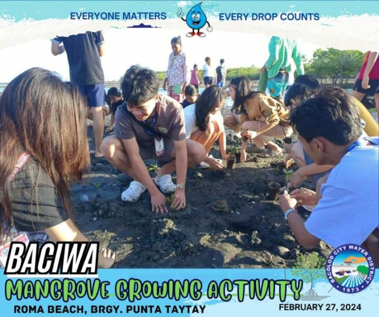 BACIWA MANGROVE GROWING ACTIVITY: Roma Beach, Brgy. Punta Taytay