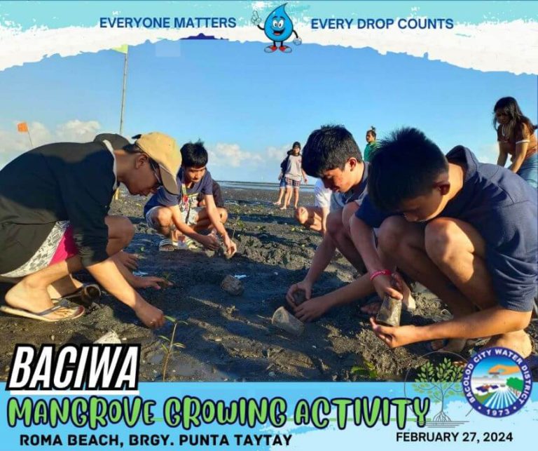 BACIWA MANGROVE GROWING ACTIVITY: Roma Beach, Brgy. Punta Taytay