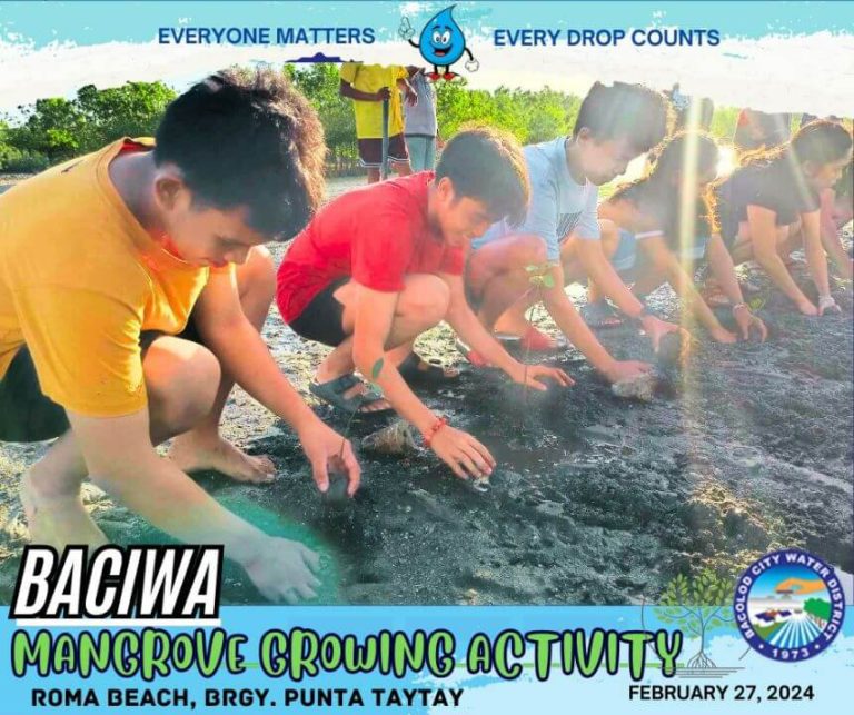 BACIWA MANGROVE GROWING ACTIVITY: Roma Beach, Brgy. Punta Taytay