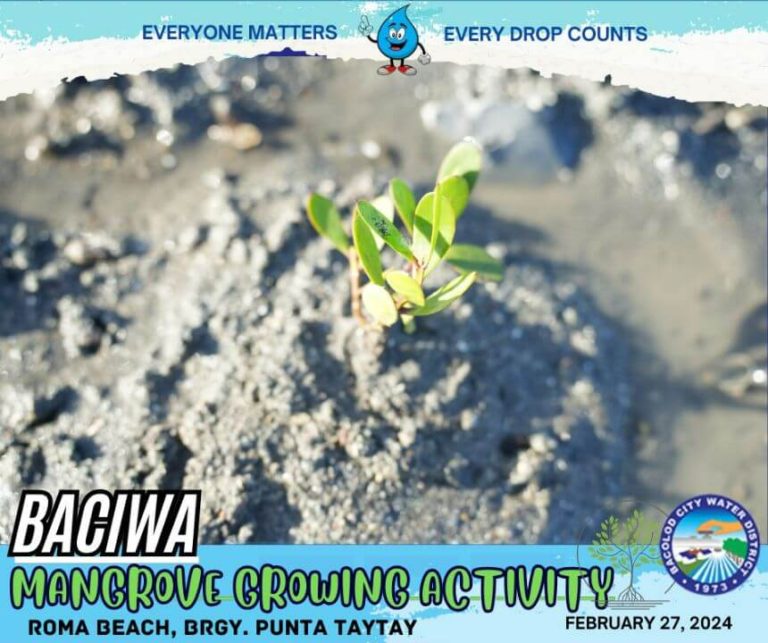 BACIWA MANGROVE GROWING ACTIVITY: Roma Beach, Brgy. Punta Taytay