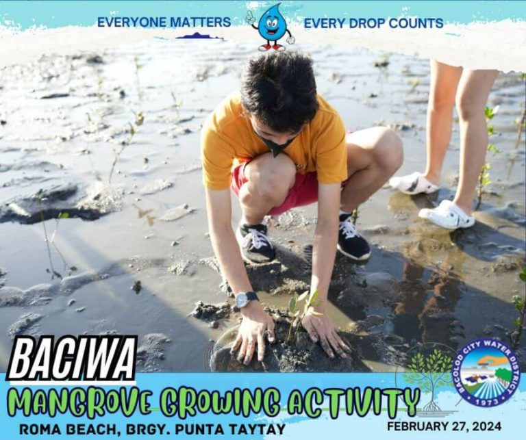BACIWA MANGROVE GROWING ACTIVITY: Roma Beach, Brgy. Punta Taytay