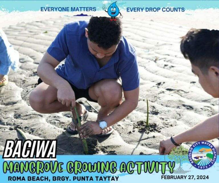 BACIWA MANGROVE GROWING ACTIVITY: Roma Beach, Brgy. Punta Taytay