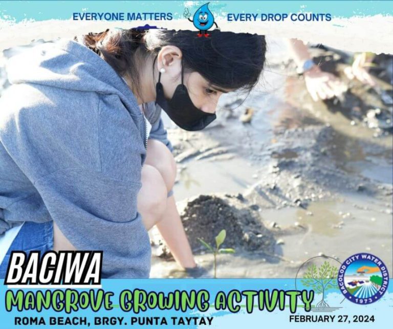 BACIWA MANGROVE GROWING ACTIVITY: Roma Beach, Brgy. Punta Taytay