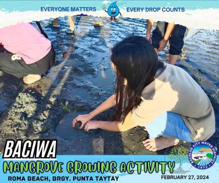 BACIWA MANGROVE GROWING ACTIVITY: Roma Beach, Brgy. Punta Taytay