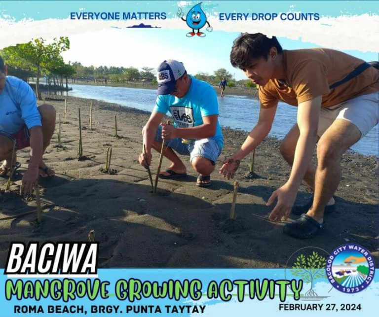 BACIWA MANGROVE GROWING ACTIVITY: Roma Beach, Brgy. Punta Taytay