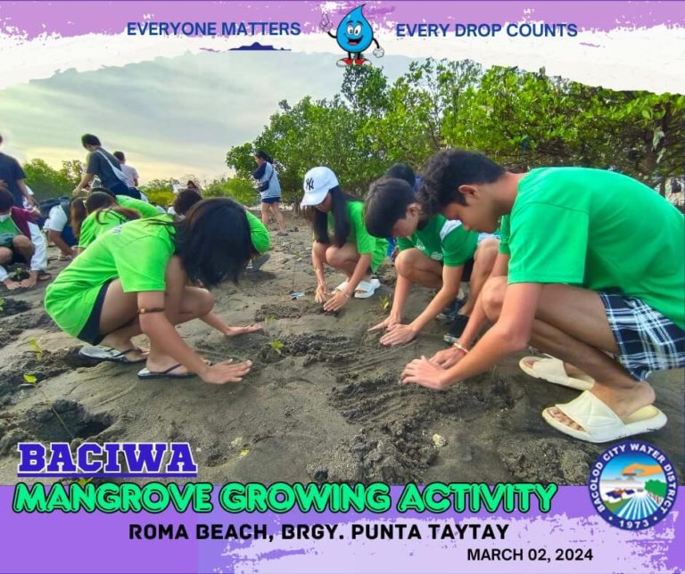 BACIWA MANGROVE GROWING ACTIVITY: Roma Beach, Brgy. Punta Taytay